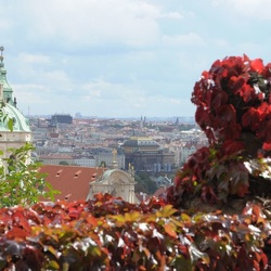Praga